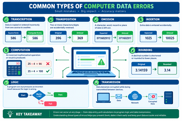 Types of Computer Errors: Transcription, Transposition, Computation and More